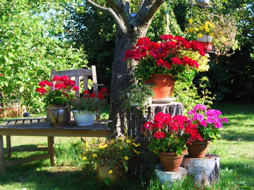 Ferienhaus Mit Garten Am Bodstedter Bodden المظهر الخارجي الصورة