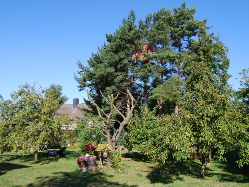 Ferienhaus Mit Garten Am Bodstedter Bodden المظهر الخارجي الصورة
