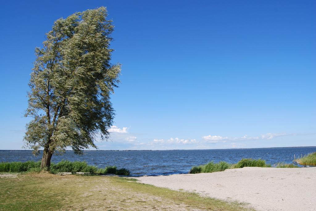 Ferienhaus Mit Garten Am Bodstedter Bodden المظهر الخارجي الصورة